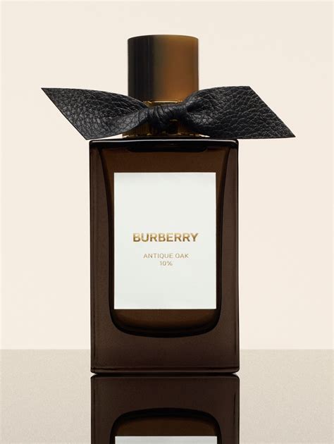 il burberry|burberry signatures for men.